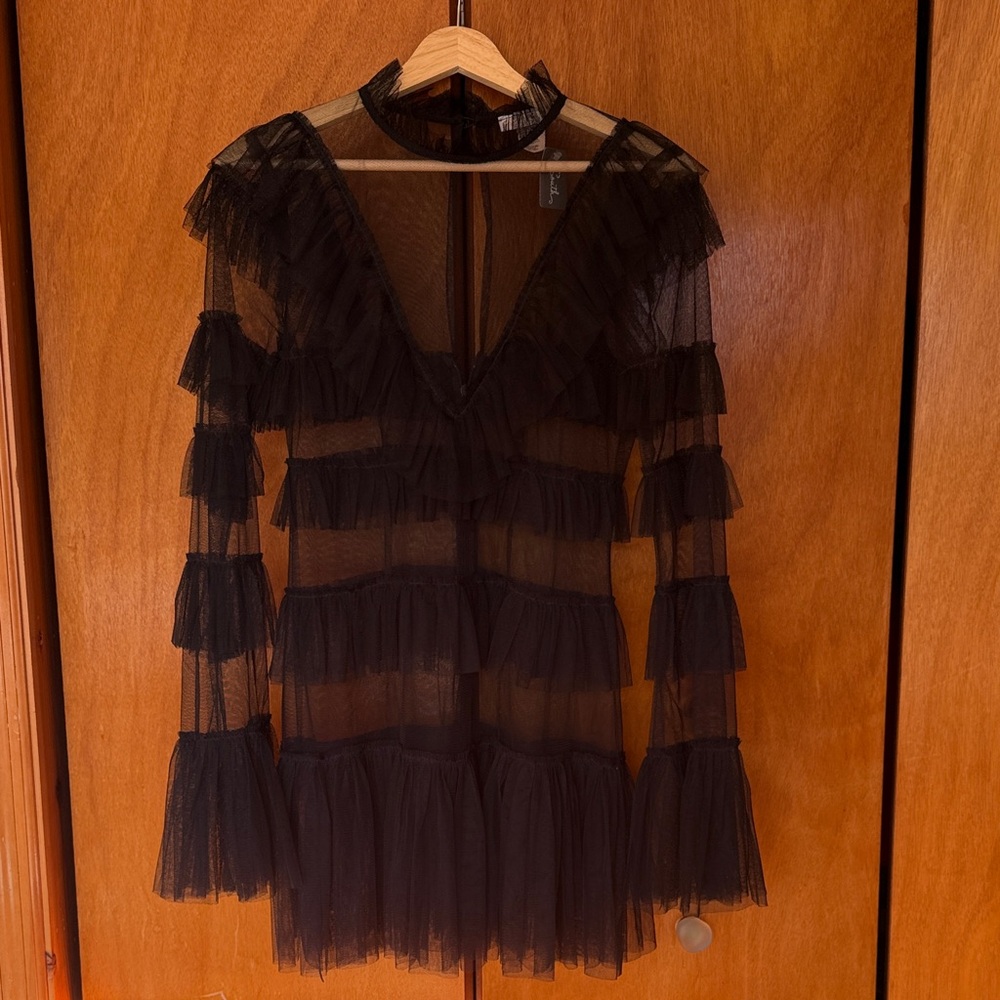 Karlie Sheer Black Ruffle Dress